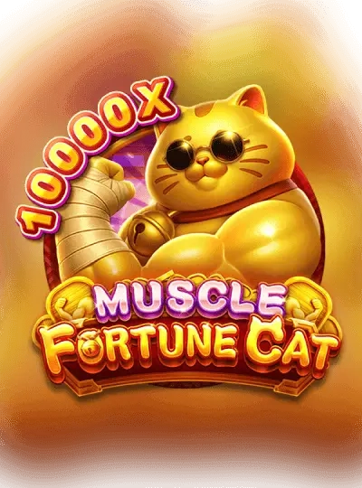 Premium slot game cover at ck449